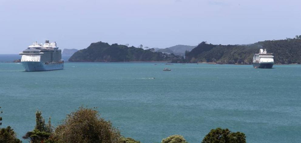 A French tourist has been caught in Paihia with 24kg of cocaine - worth up to $10.8 million. Photo: NZ Herald
