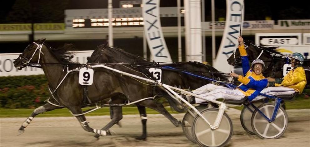 Champion reinsman Gary Hall jnr will seek more grand circuit glory with Chicago Bull in this weekend's Interdominion final in Perth. Photo: NZ Herald.