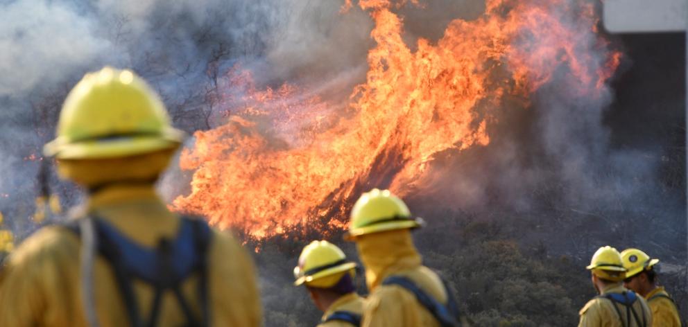 Fire fighters attack the Thomas Fire’s north flank with backfires as they continue to fight a...