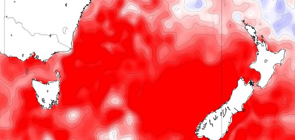 This Niwa map shows the sea surface temperature in the Tasman Sea and around New Zealand is...