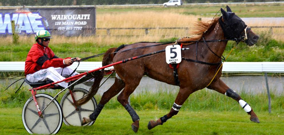 Sundons Flyer is looking for back-to-back wins on the final day of Waikouaiti's two-day meeting,...