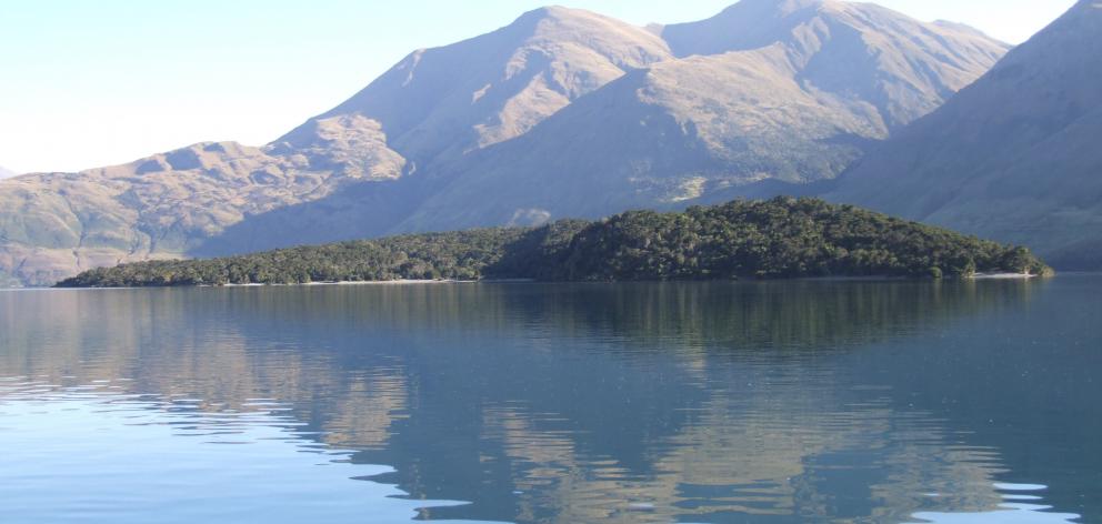 A photo looking at Stevensons Island which lies in the Stevensons Arm of Lake Wanaka. Photo: File