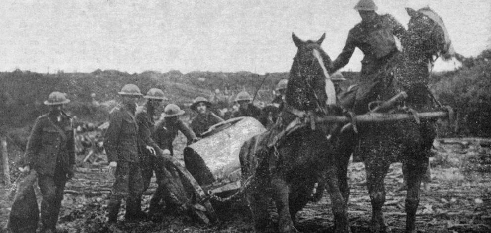 "The eternal mud'' - a horse in difficulties in Flanders. - Otago Witness, 9.1.1918. 