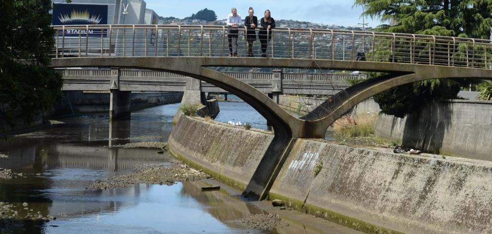 Otago Regional Council staff members Gavin Palmer (left), Sian Sutton and Charlotte Panton look...