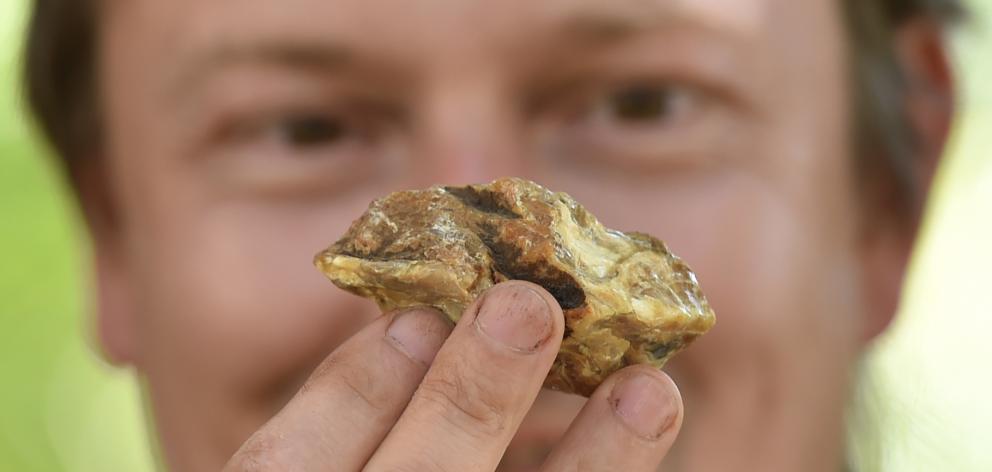 University of Otago researcher Dr Uwe Kaulfuss holds a block of amber from a Southland coal mine...