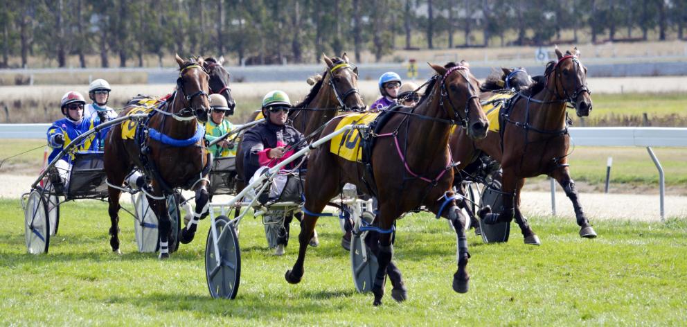 Don Domingo was a dominant winner of the Oamaru Cup on Saturday for driver Blair Orange, who had...