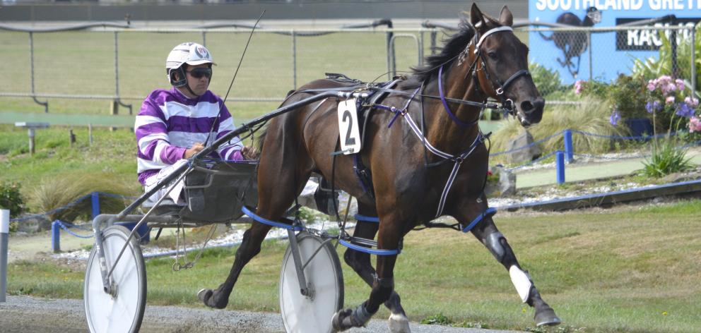 Westwood Beach pacer Hopes And Dreams is a leading contender for the feature pace at tomorrow’s...
