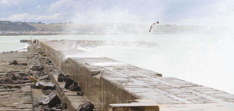 A wave crashes into the Oamaru Harbour breakwater yesterday afternoon. During Thursday evening’s...