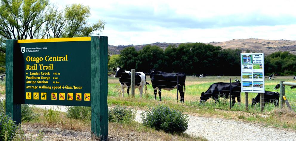 A real estate sign sits beside the Central Otago rail trail. Photo: Supplied