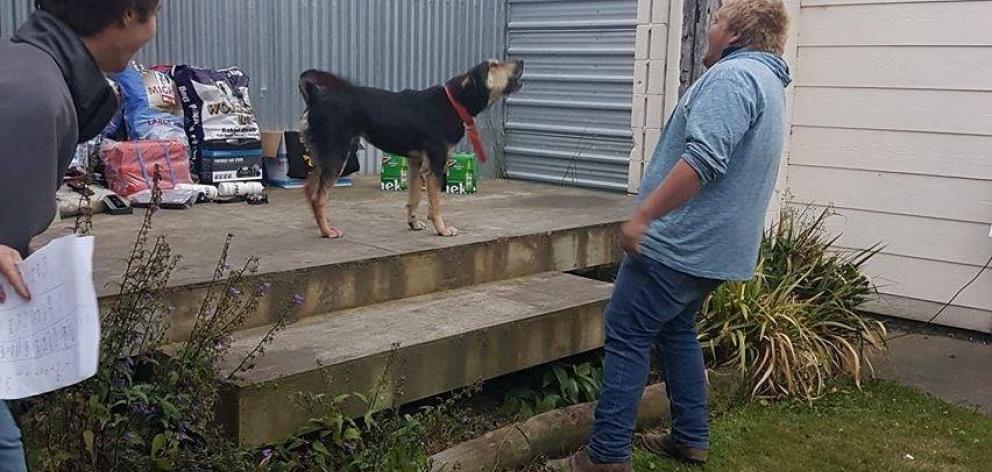 Gus Gibson gets his dog amped up during last year’s Mackenzie Young Farmers Bark Up. The...