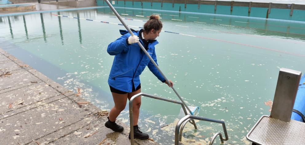 St Clair Hot Salt Water Pool lifeguard Imogen Doyle removes debris brought into the pool during...
