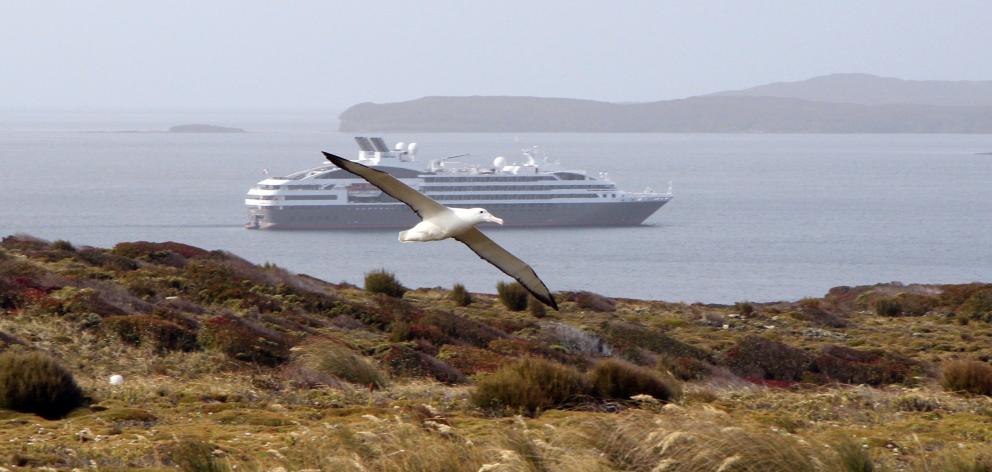 A southern royal albatross flies over its Enderby Island nesting area as  French expedition...