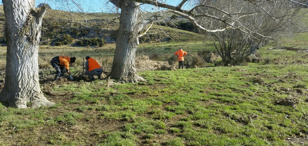 Offenders on community work carry out repairs to a farm fence after flooding near Balclutha last...