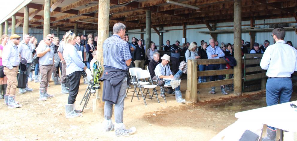 A large crowd attended the launch of EveryCow at Rhys and Emily Hamilton's North Otago dairy farm on February 26. Photo: Supplied