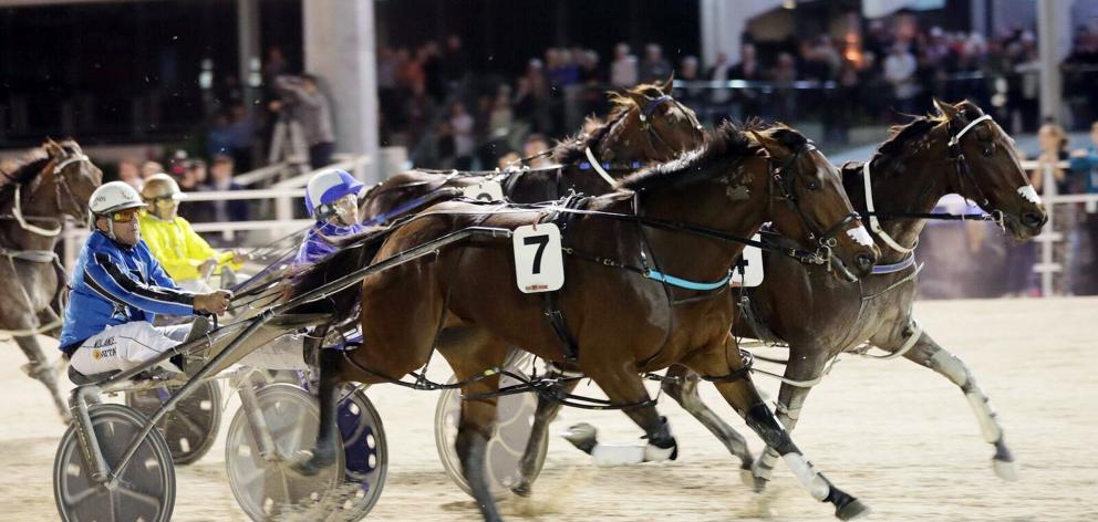 Driver and co-trainer Natalie Rasmussen gets Otago horse of the year Eamon Maguire  to the line...