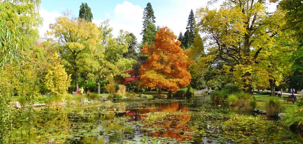 Provisional funding for the gardens redevelopment, totalling more than $8 million, for three priority areas has already been set aside in the draft long-term plan. Photo: Tracey Roxburgh