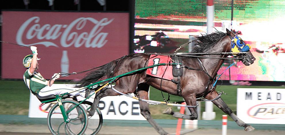 A Rocknroll Dance was New Zealand's most popular standardbred sire this season. Photo: Supplied.