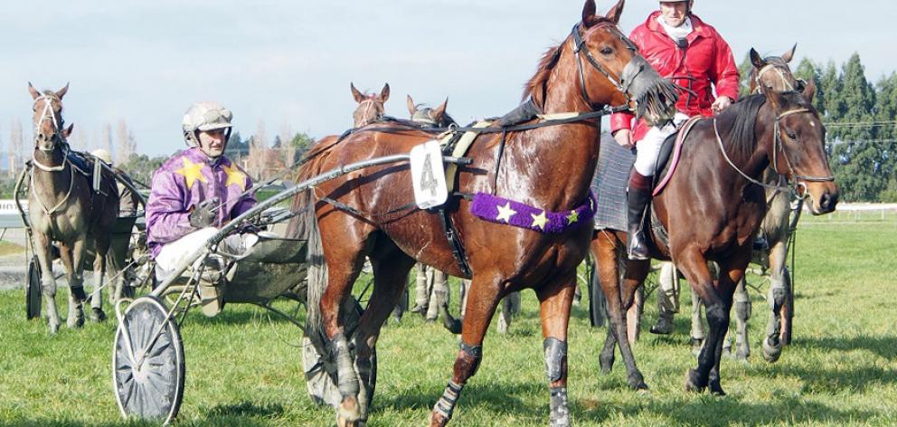 Grace O’Malley and driver Peter Hunter return to scale, with clerk of the course Alasdair Henry,...