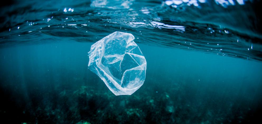 Eight million tonnes of plastic - bottles, packaging and other waste - are dumped into the ocean...