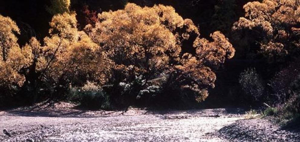 The Arrow River. Photo by ODT.