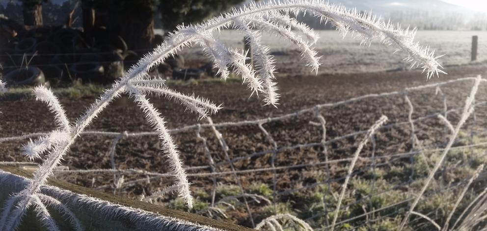 It’s a wee bit, err, ‘‘fresh’’ out on the Taieri. Thanks to Colin Mackintosh for this stunningly...