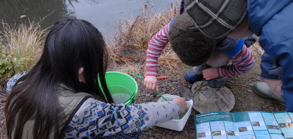 Children examine the invertebrate life in the eel pond. Photos: Yvonne Sommer