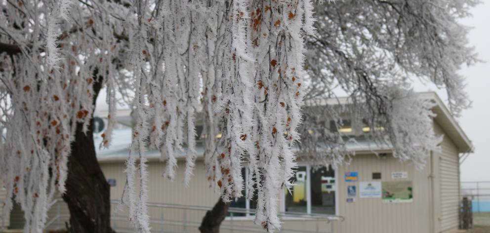 Poolburn School in the midst of a hoar frost which school staff say was the biggest in four years...
