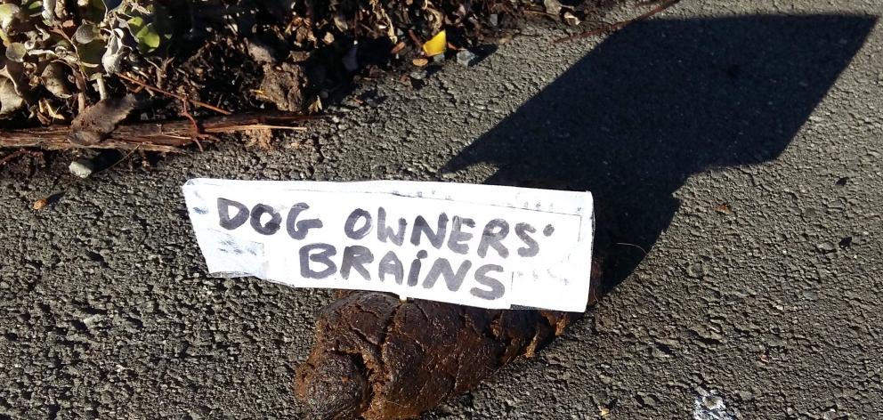 A fairly harsh opinion but always good to say what’s on your mind. I mean, the dog clearly didn’t...