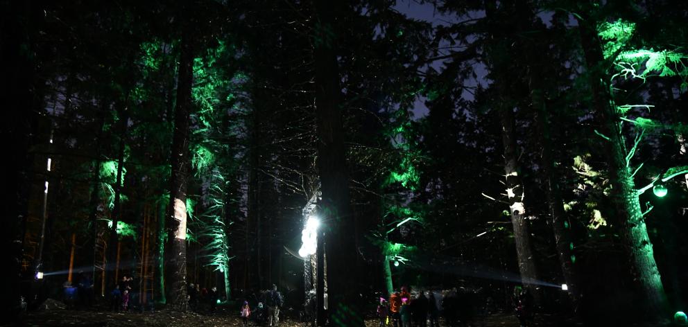 An installation called Amygdala at Luma Festival in Queenstown last night. Photo: Craig Baxter