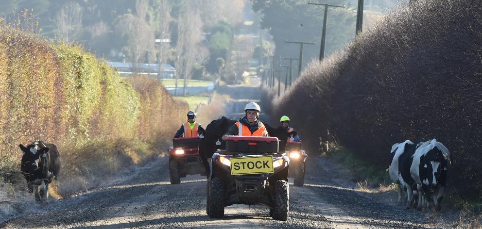 Daniela Matthews (left), Max Proffit and Liz Hodson move stock near Berwick during Gypsy Day...