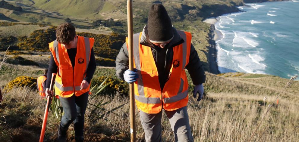 University of Otago student Anna Tarr (left) and fellow volunteer Sophie Briggs take part in  a...