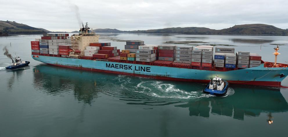 Container ship Maersk Innoshima  arrives at Port Chalmers to load Asian-bound exports last week,...