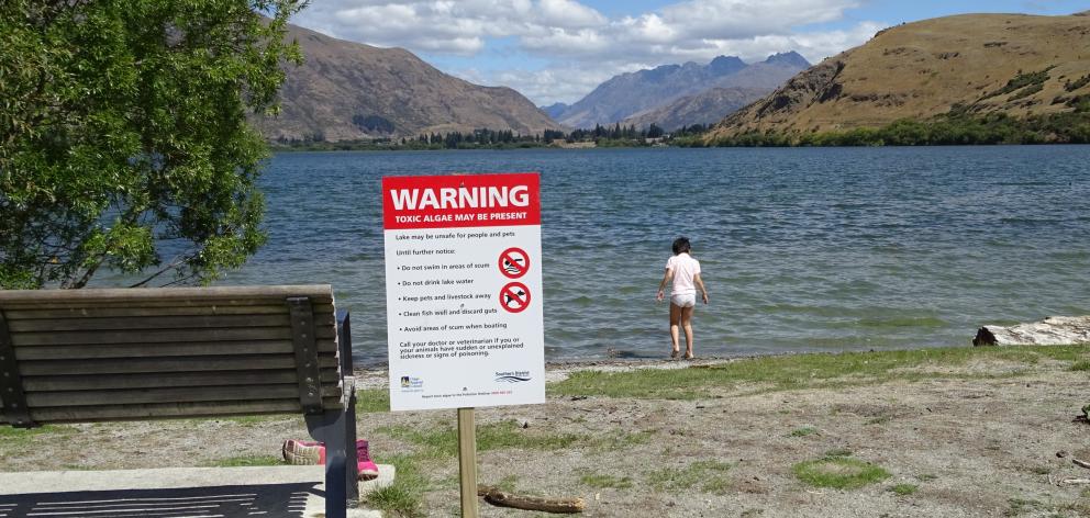 The Otago Regional Council put up signs around Lake Hayes in mid-February advising against...