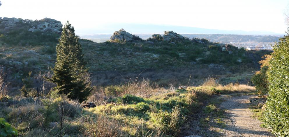 The site of a potential subdivision on top of Alexandra's Bridge Hill. Photo: Tom Kitchin