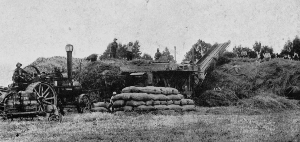 Mr Hamilton's threshing plant at work on a farm at South Hillend, Southland. - Otago Witness, 10...