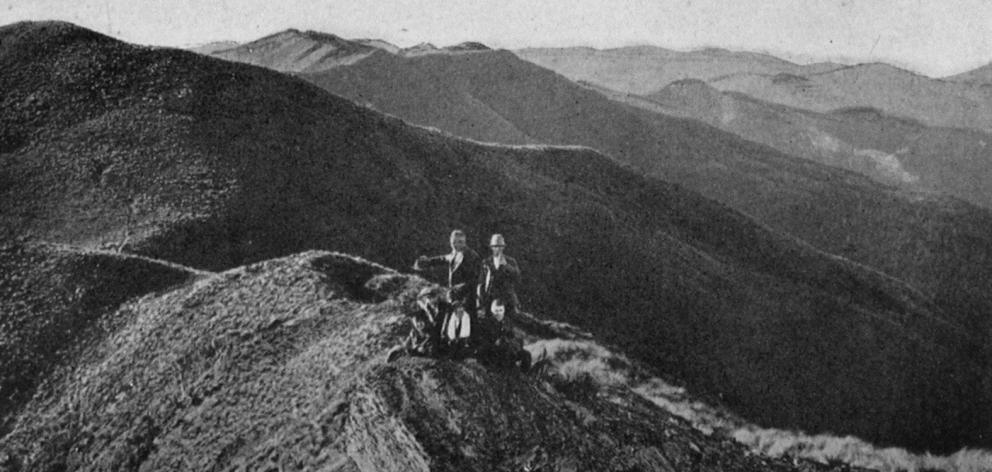 The view from the Pulpit Rock, Silverpeaks, looking north. — Otago Witness, 17.7.1918.
