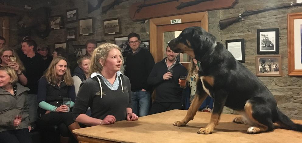 Abi Huddleston watches  as her 10-month-old dog, Mae, demonstrates her ability to bark during the...