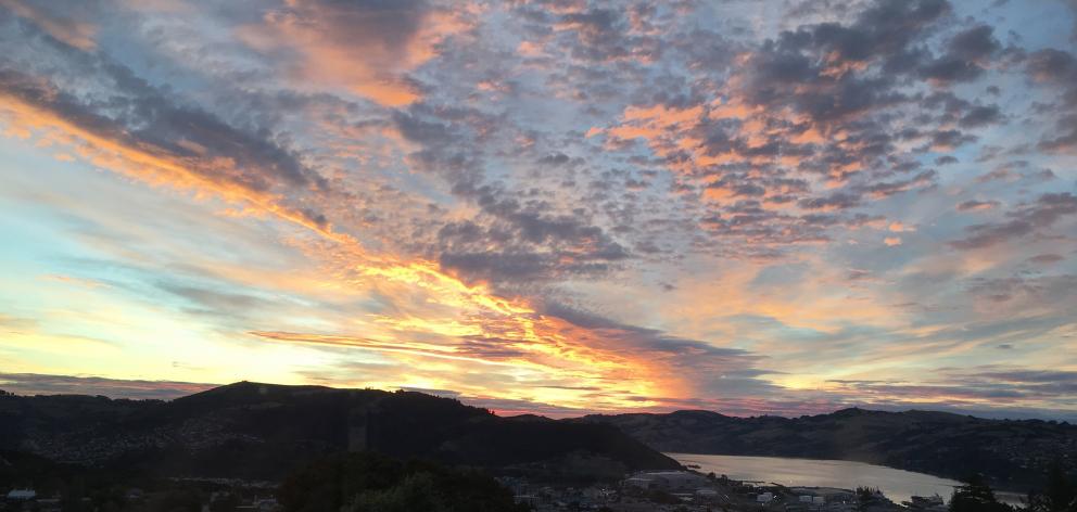 A jaw-dropping cirrus and altocumulus sunrise looking down Otago Harbour from Roslyn in 2016....