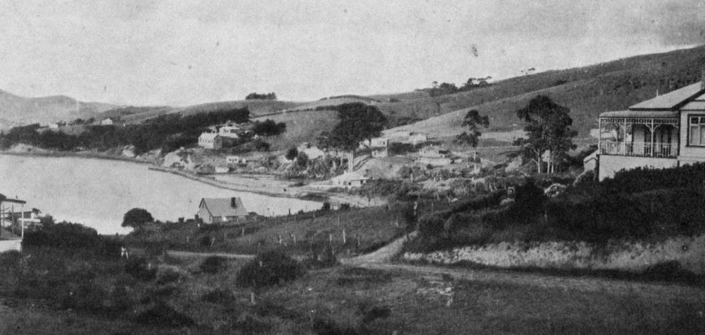 Macandrew’s Bay, a popular Otago Harbour weekend resort. — Otago Witness, 14.8.1918. 