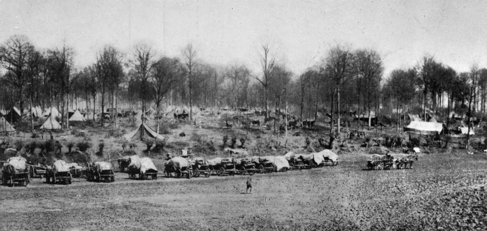 New Zealanders bivouacked in a wood on the Western Front; the scene being somewhat like an old...