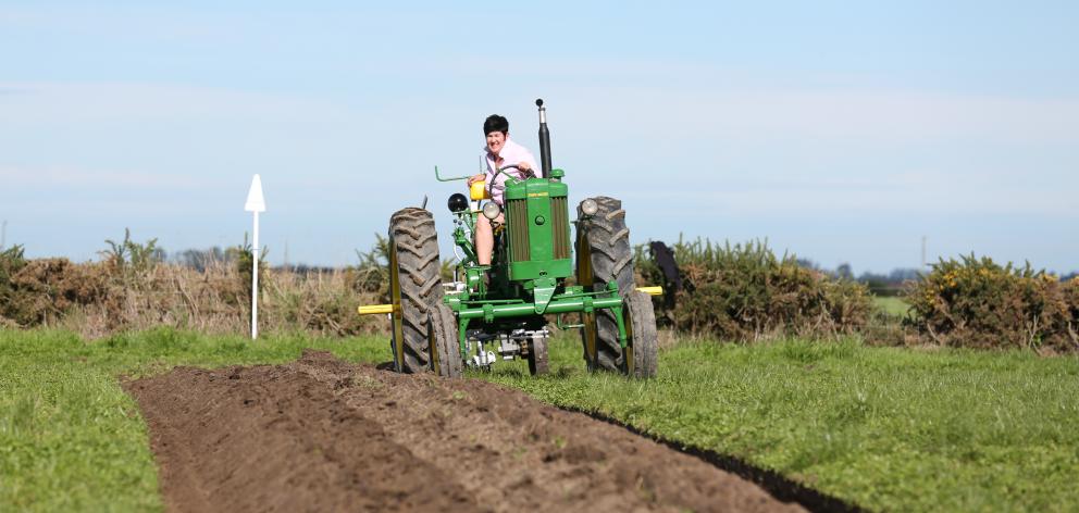 Linda Cosgrove, of Blenheim, perfects her skills for the NZ Vintage Ploughing Championships.      PHOTOS: NORM STYLES