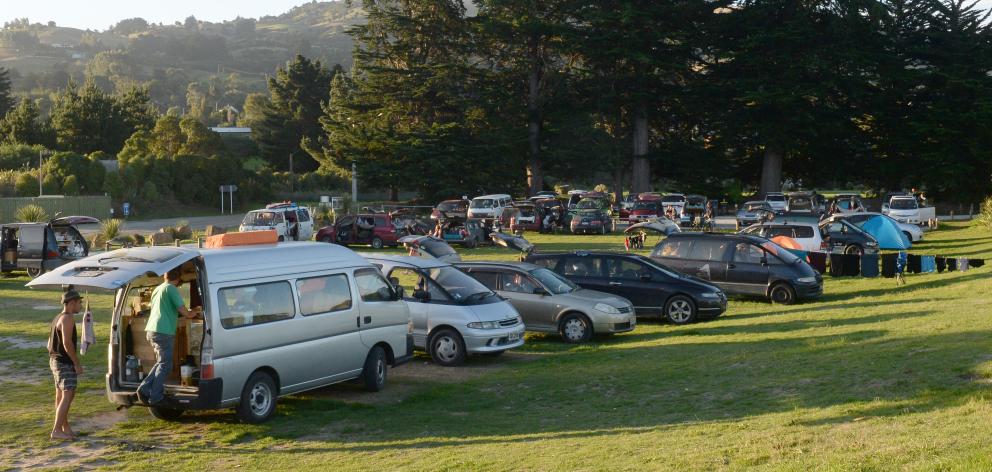 Dozens of freedom campers' vehicles at Warrington domain last night. Photo: Linda Robertson