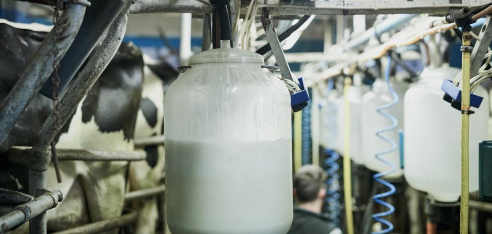 Westland Milk targets were not met during the year. Photo: Getty Images