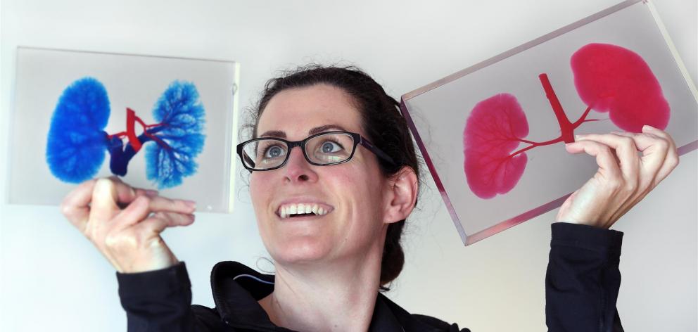 McGrath Benchtop Solutions co-owner Eloise McGrath looks at repolished specimen blocks from the University of Otago Anatomy Museum. Photo: Stephen Jaquiery