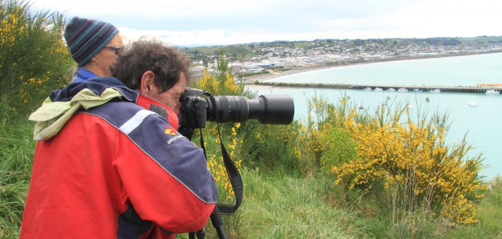 Dr Chris Lalas takes a photograph of the nests on Sumpter Wharf from high above at Cape Wanbrow...