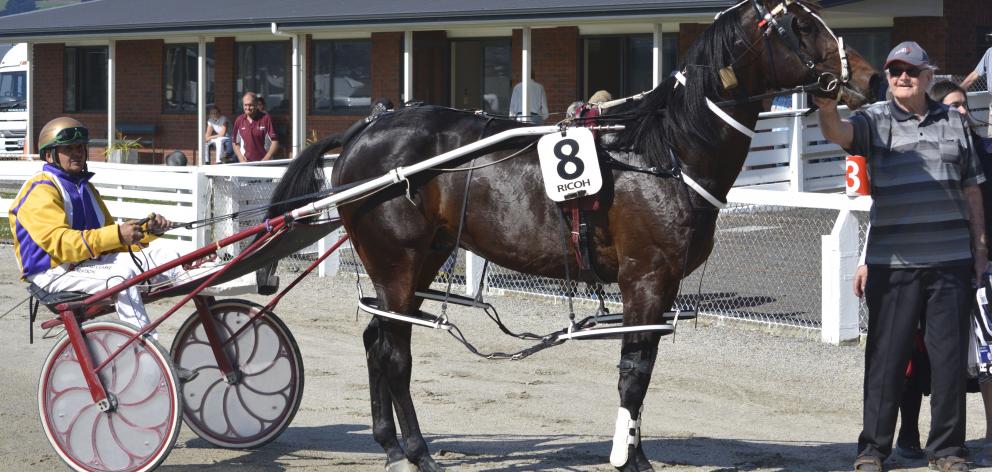 Owner Pat Kubala holds Pat’s Delight, driven by Ricky May, after the horse won the Tuapeka Cup at...