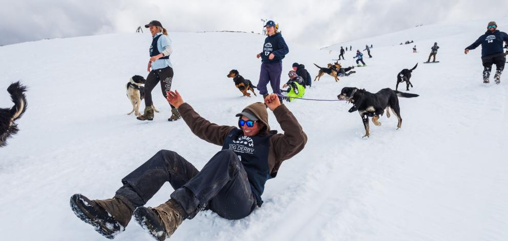 ‘‘Country’’ race runner-up Kelly Smith slides down the slope with her dog Missy at the Speight’s...