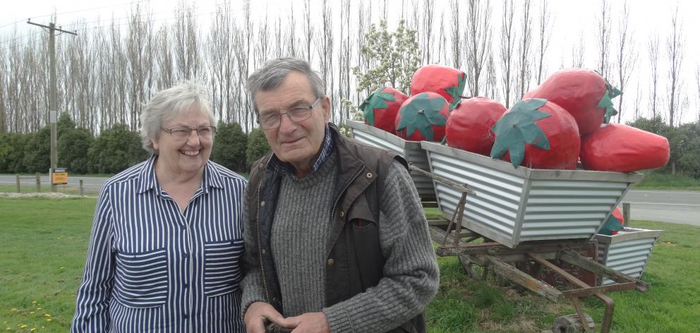 After decades of growing strawberries Jacky and Donald Butler are moving on. Photo: Chris Tobin