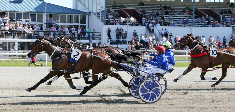 Eamon Maguire, driven by Natalie Rasmussen, sprints to the finish in the Ashburton Flying Stakes...