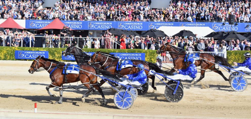 Thefixer, driven by co-trainer Natalie Rasmussen, goes clear to win the $800,000 New Zealand Trotting Cup at Addington Raceway in Christchurch yesterday. The other horses pictured are Tiger Tara (second), Dream About Me (third) and Cruz Bromac (fourth). P